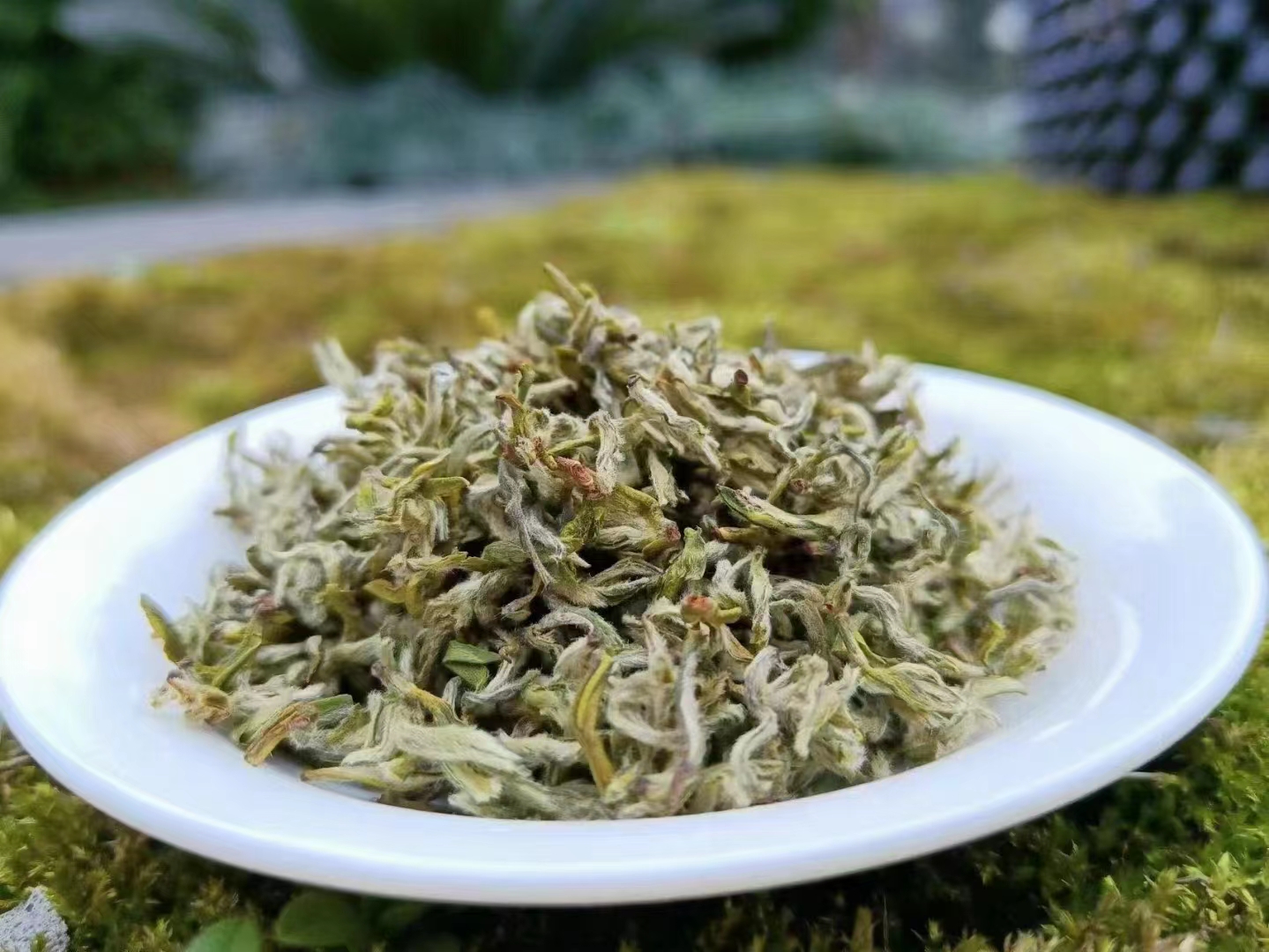 1677766627429983.jpg 21.jpg